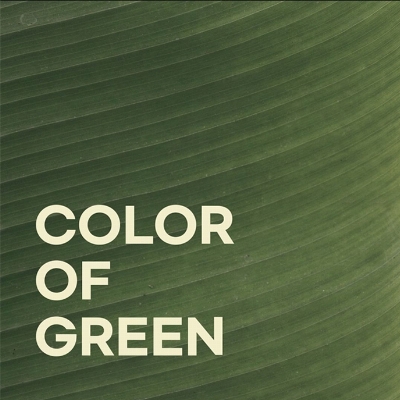 컬러오브그린